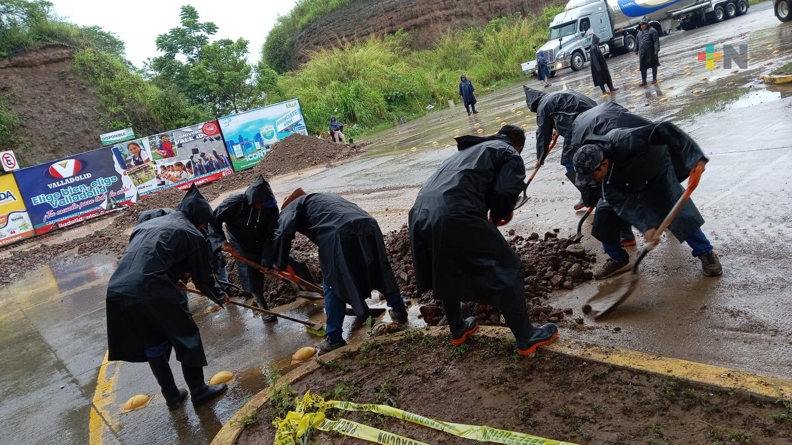 Aplican Plan Tajín para despejar distribuidor vial Emiliano Zapata-Xalapa