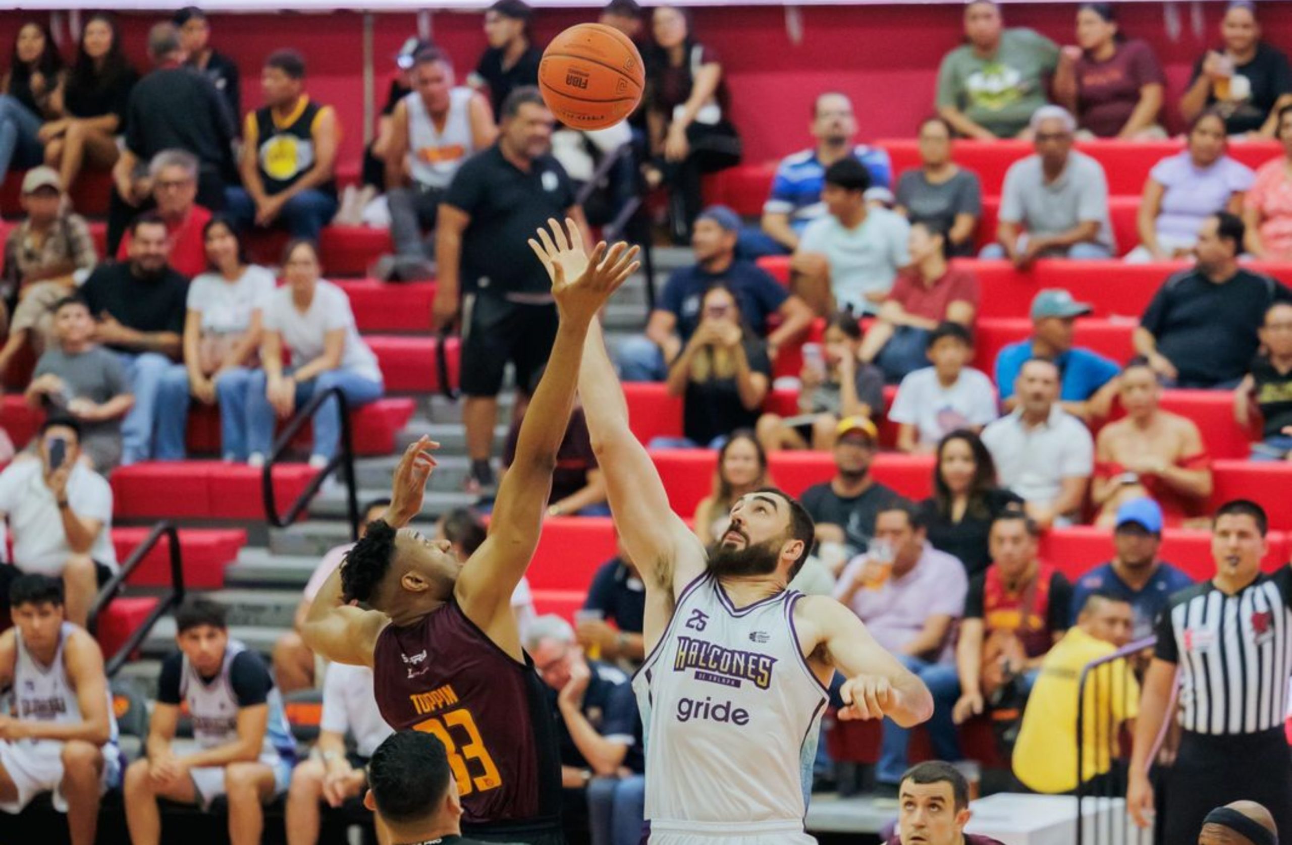 Halcones de Xalapa cae en su primer juego de pretemporada