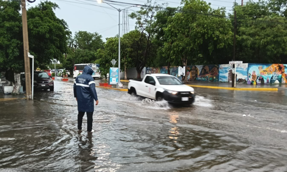 Infraestructura eléctrica y viviendas son las más afectadas tras Erick: CNPC