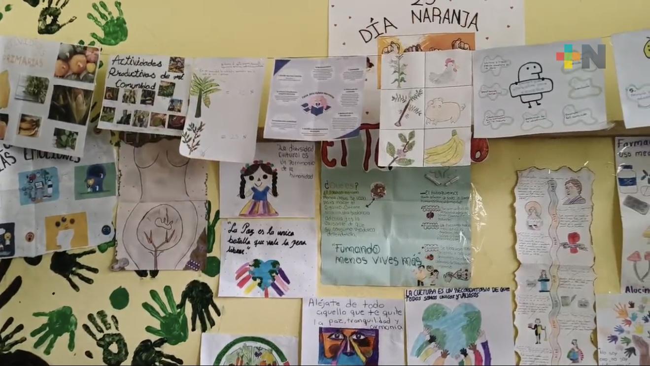Jóvenes de Zoquiapa impulsan ecotecnias y buscan representar a Veracruz en Expociencias
