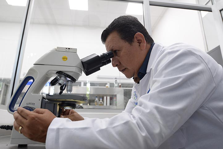 Investigadores buscan derivados de hongos marinos para tratar candidiasis