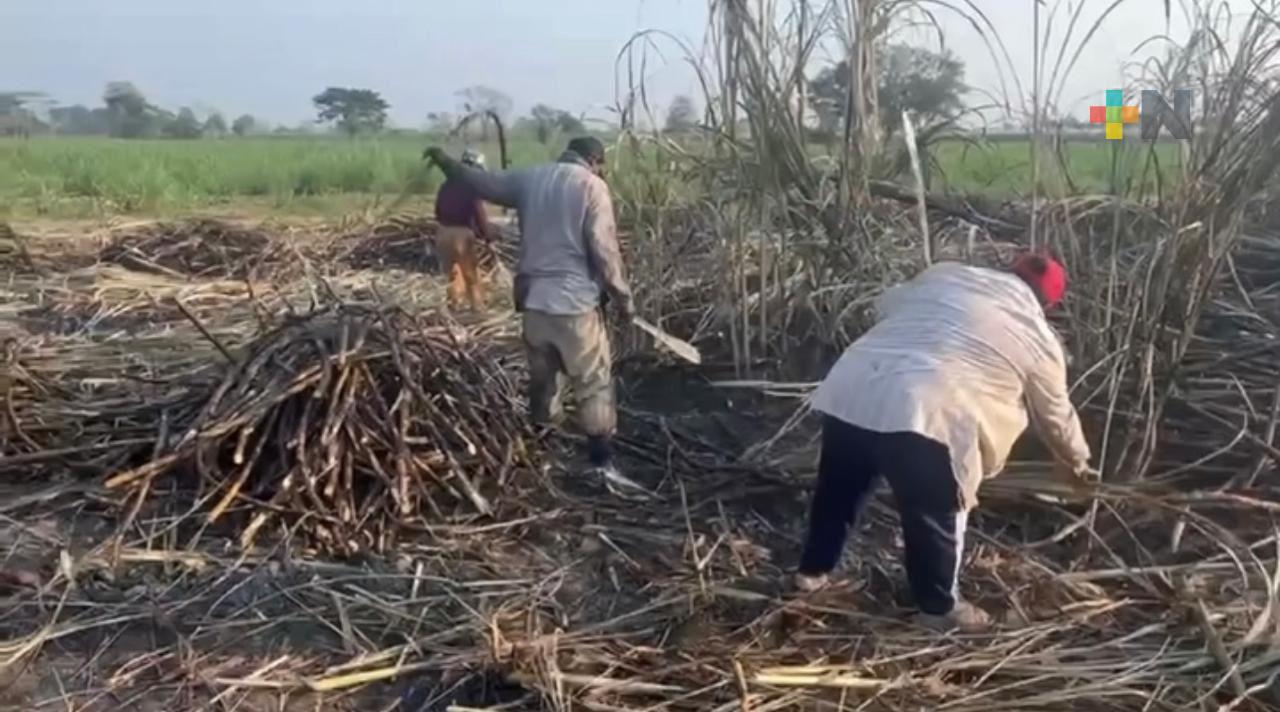 Ingenio San Cristóbal confirma liquidación cañera