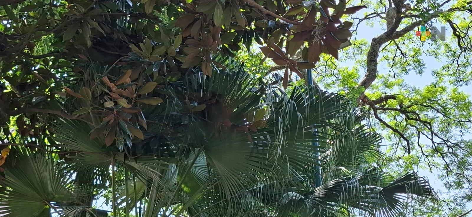 Jardines botánicos protegen especies de flora en peligro de extinción