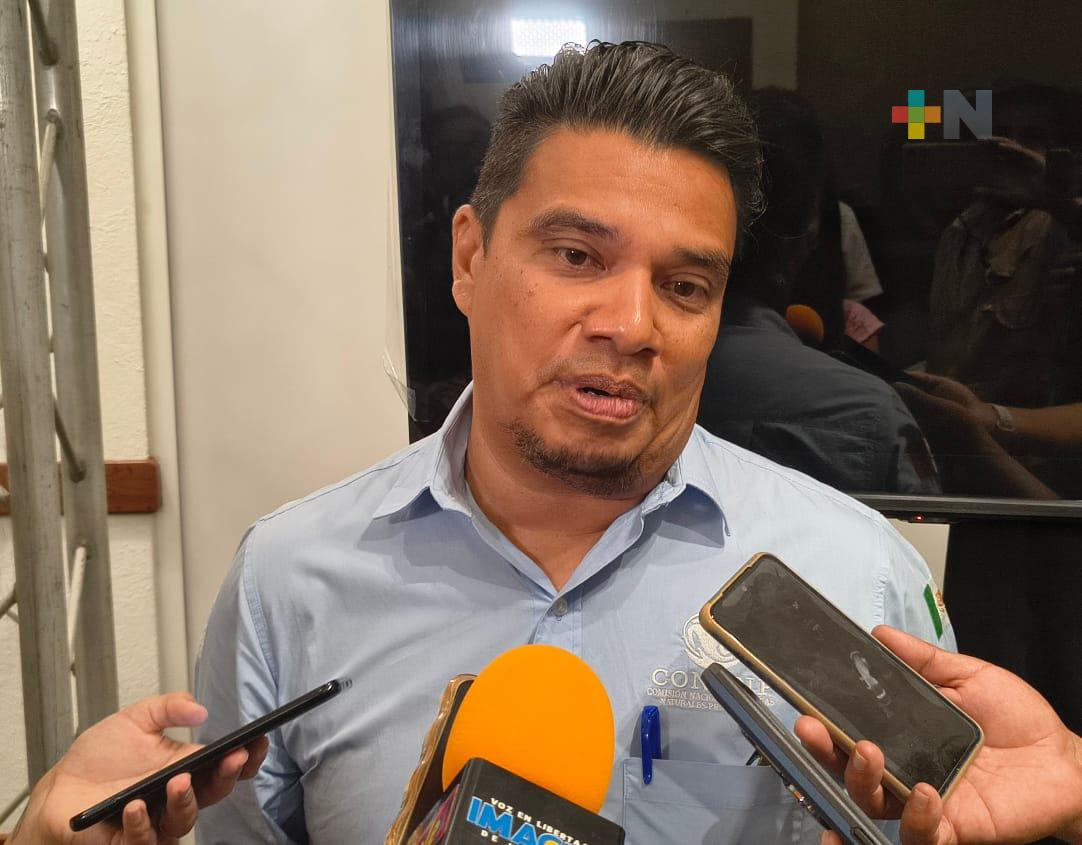 Calentamiento provoca blanqueamiento de corales del Sistema Arrecifal Veracruzano