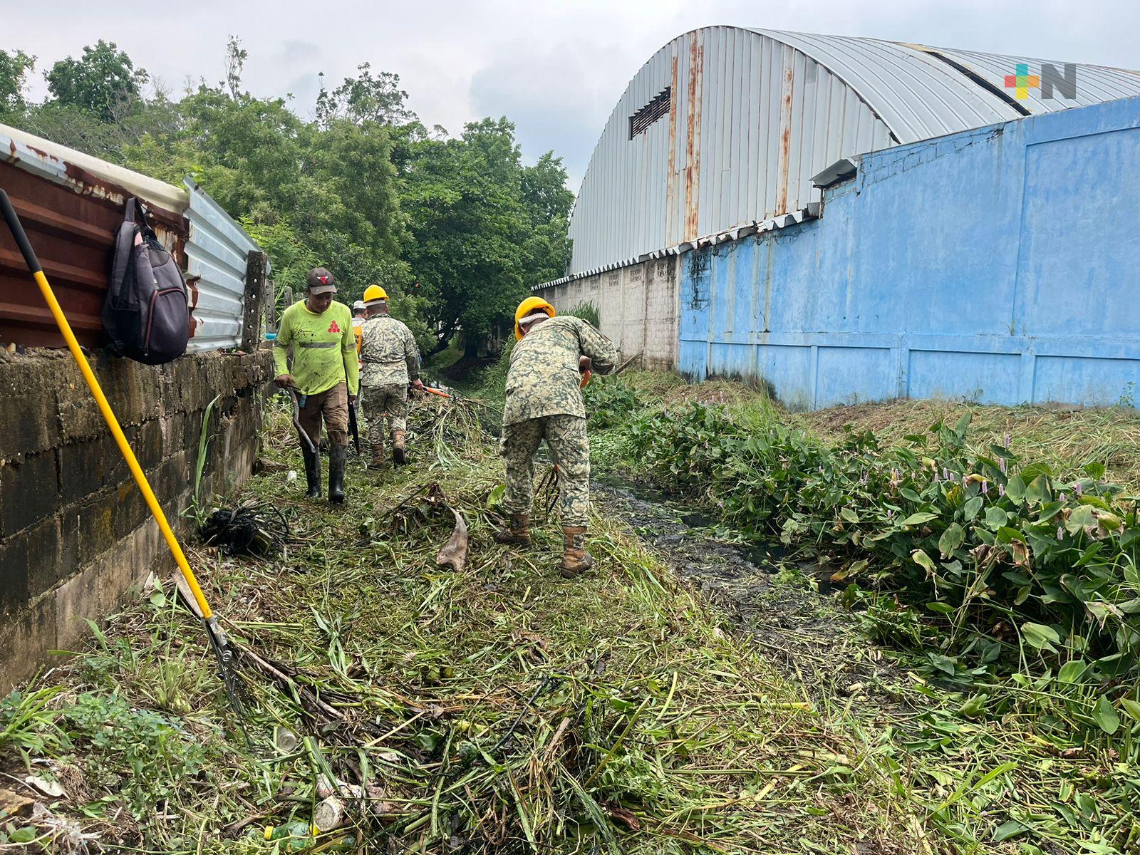 Ejército Mexicano realiza labores de limpieza en municipios del sur de Veracruz