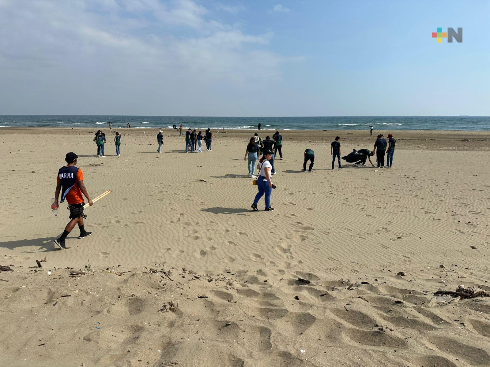 Jornada de limpieza en playa de Coatza en Día Mundial del Medio Ambiente