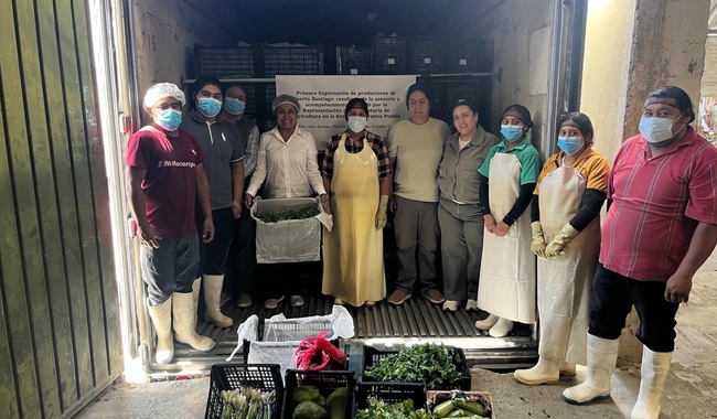 Llega primer embarque de hortalizas poblanas a Oklahoma, EUA