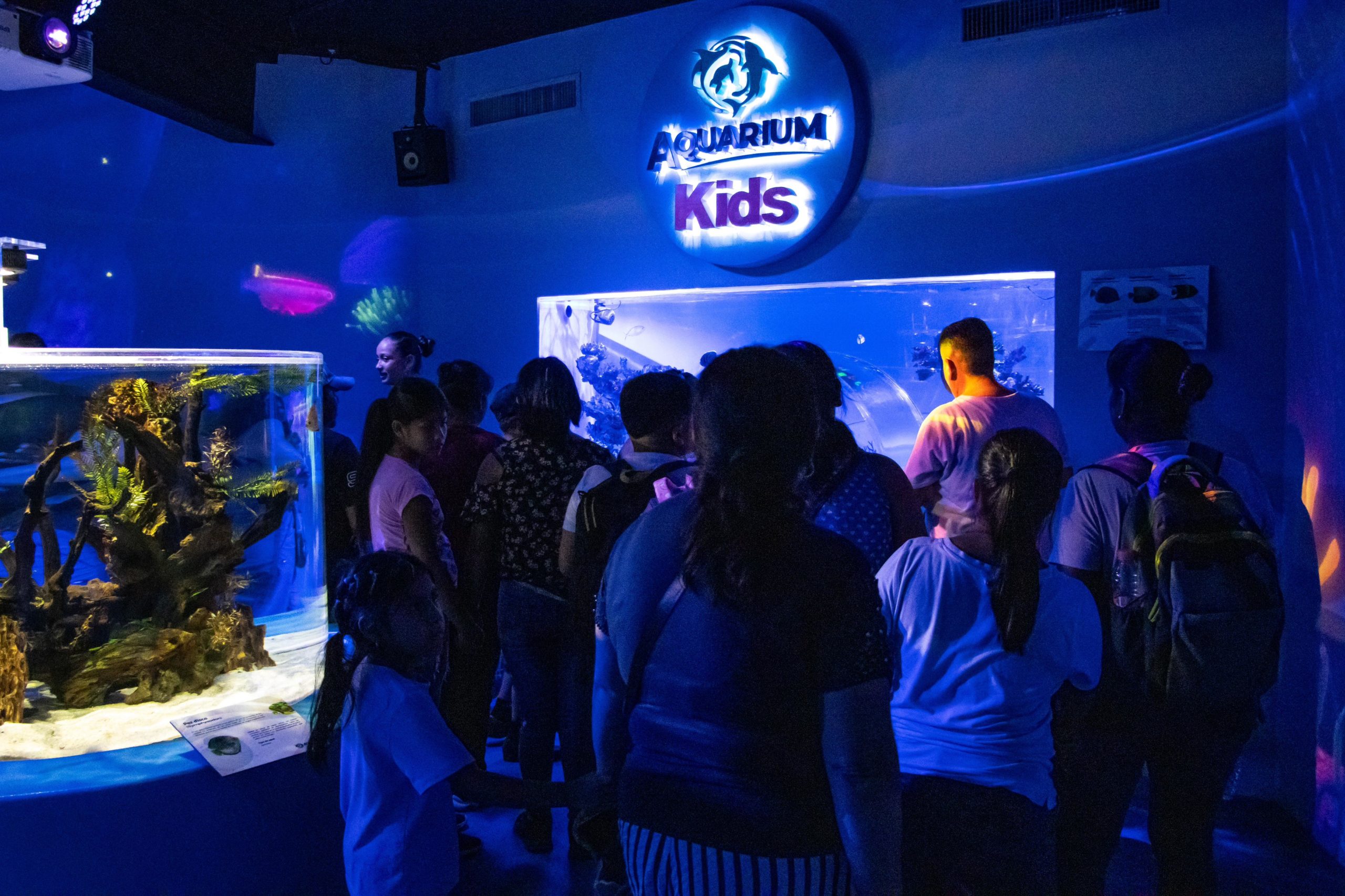 Lleno total en Martes Gratis del Aquarium del Puerto de Veracruz