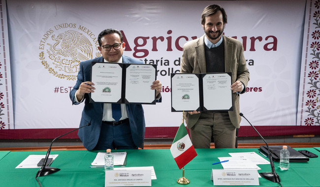 México y Emiratos Árabes realizarán 4º Festival Internacional de la Palma Datilera
