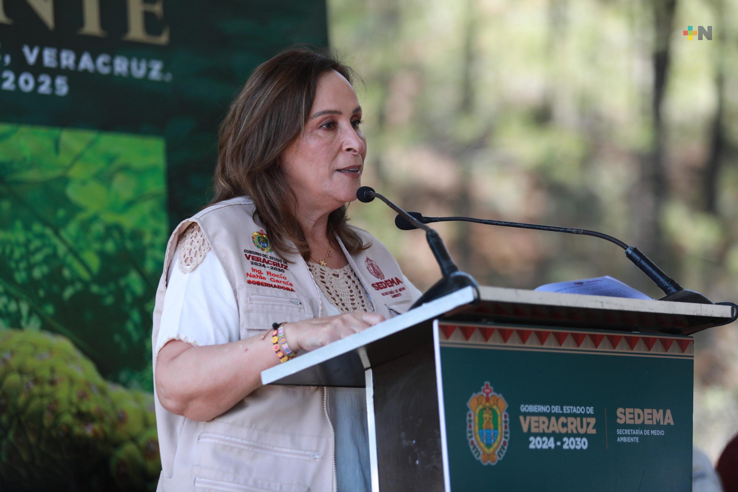 Reforestación, elemento central en Plan de Medio Ambiente: Rocío Nahle
