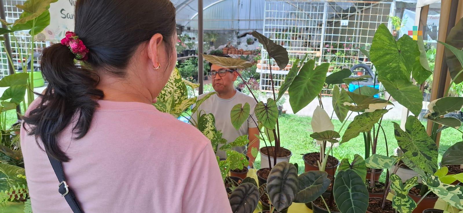 Regalar a padres una planta: cuidarla tiene beneficios y rompe estereotipos de género