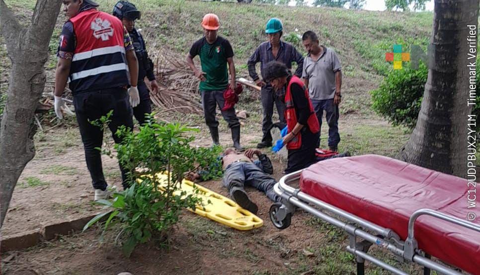 Recibe descarga eléctrica mientras podaba palmera en Minatitlán