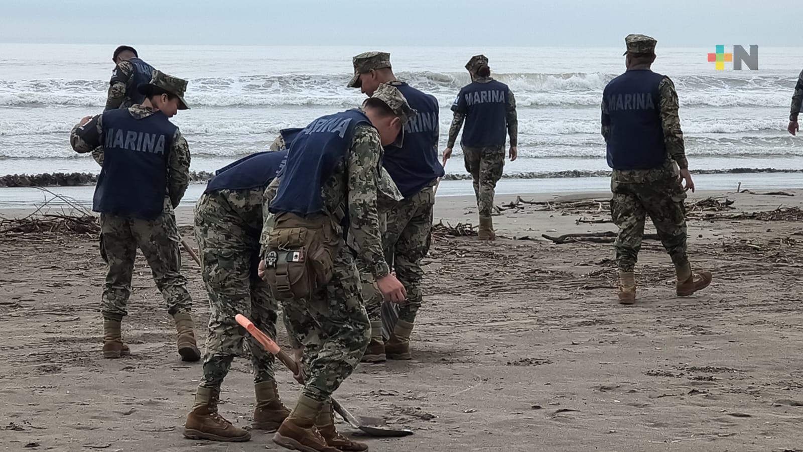 Personal de Semar realiza limpieza de playas en Veracruz