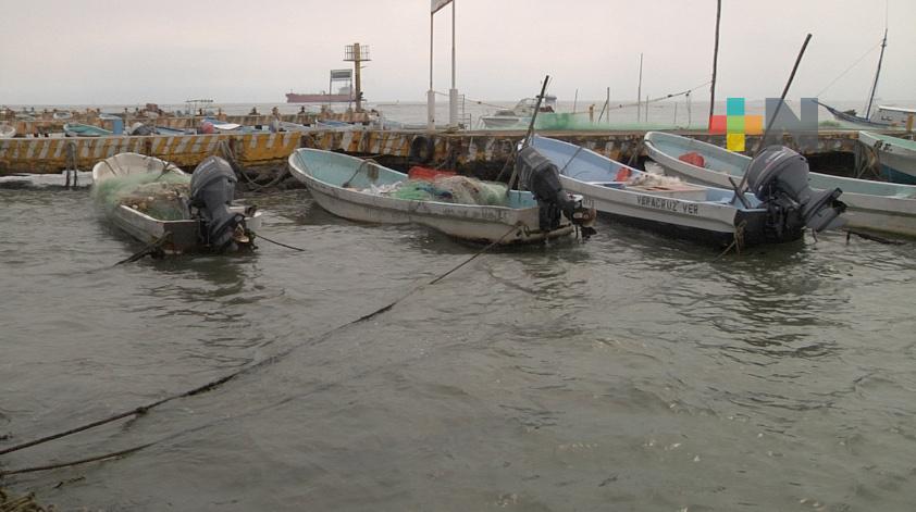 Temporal lluvioso afecta a pescadores de Veracruz
