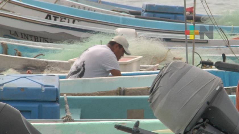 Se han fortalecido las actividades acuícolas y las comunidades pesqueras en Veracruz