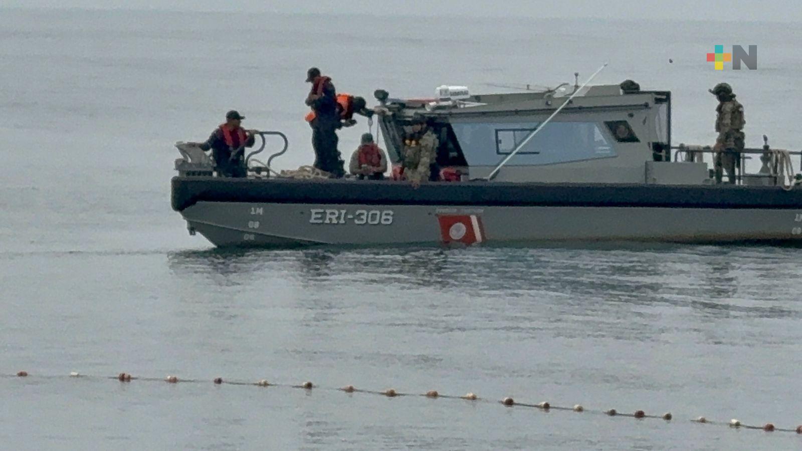Retiran redes de pesca que ponían en riesgo a delfines en Coatzacoalcos
