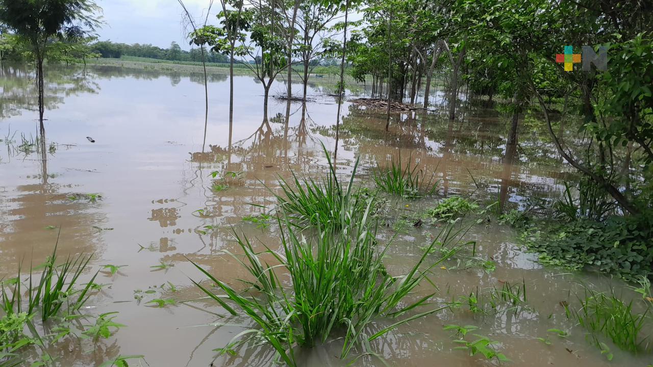Productores agrícolas temen se desborde río Amapa en Tres Valles