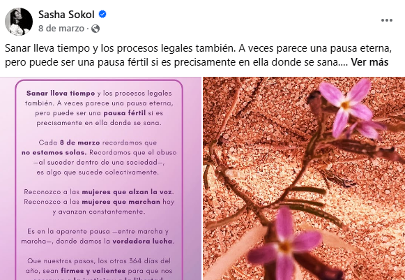 SCJN rechaza amparo a Luis de Llano por caso de Sasha Sokol