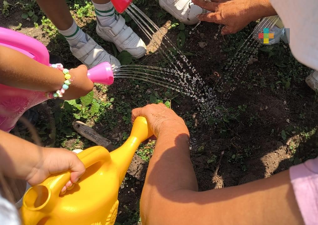 Siembran árboles en jardín de niños de Veracruz puerto