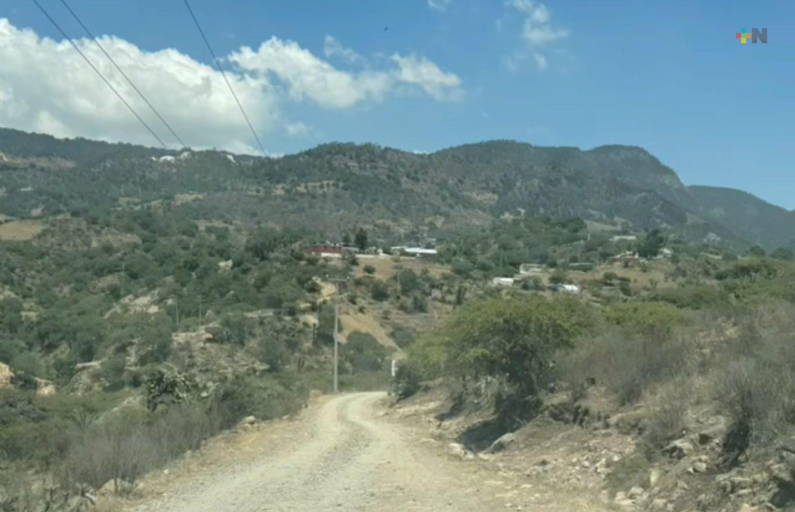 Reforestarán la Huasteca baja y sierra de Huayacocotla