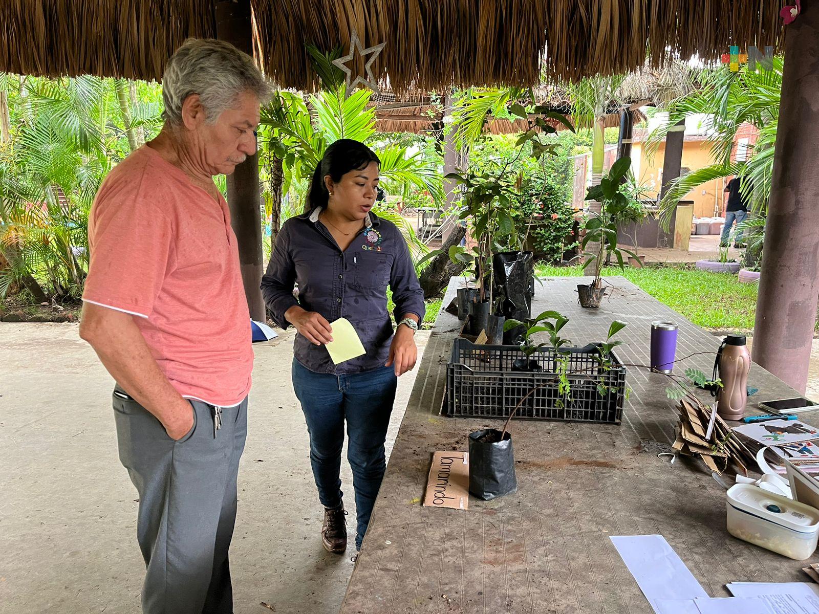 Realizan jornada de adopción de árboles en Coatzacoalcos
