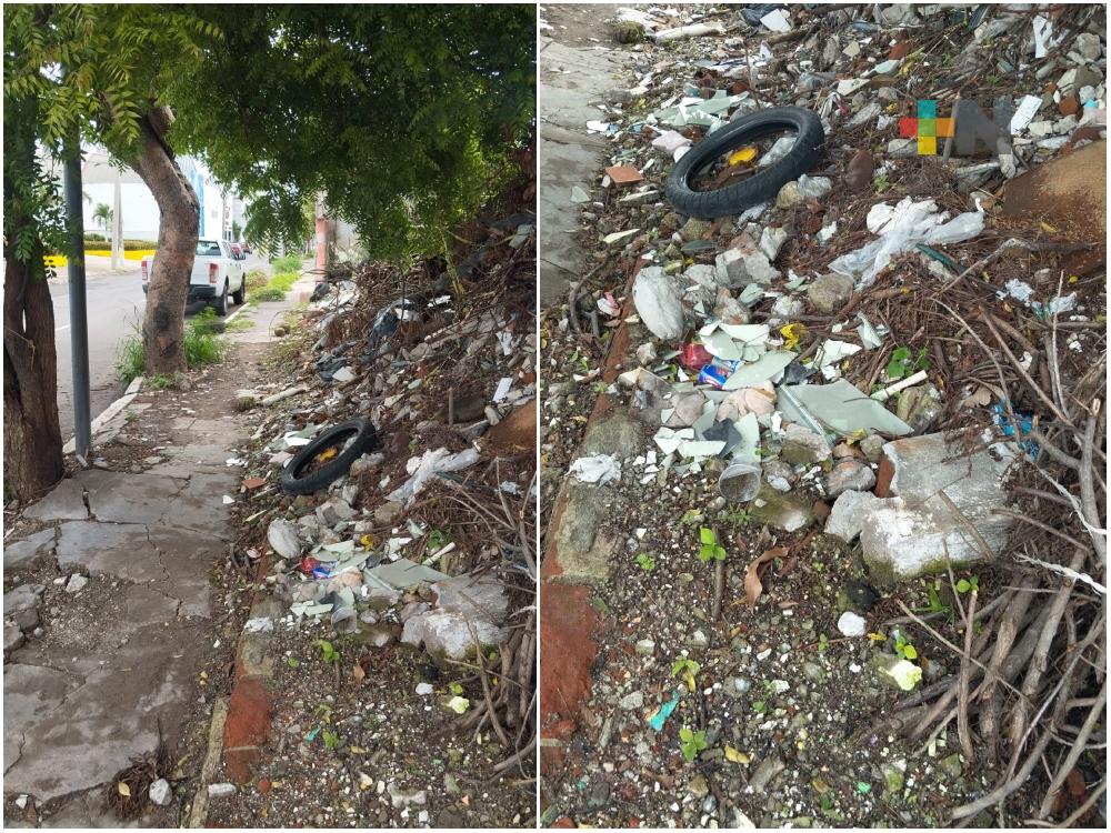 Terreno abandonado es usado como basurero en el municipio de Veracruz