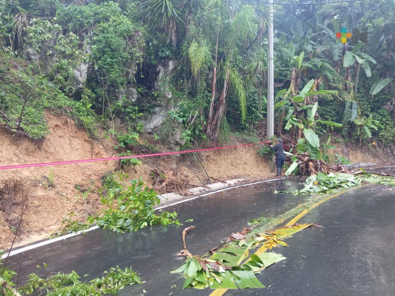 Lluvias ocasionan leves deslaves en municipio del Naranjal