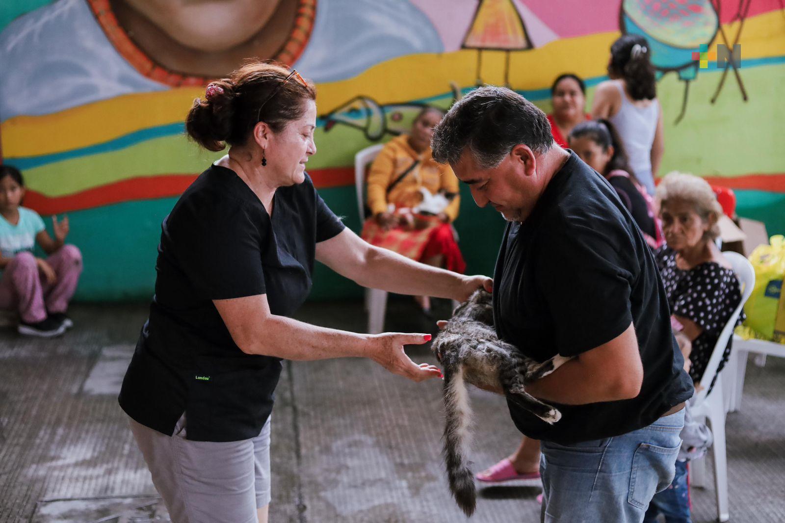 En Misantla impulsan jornadas de esterilización caninas y felinas gratuitas