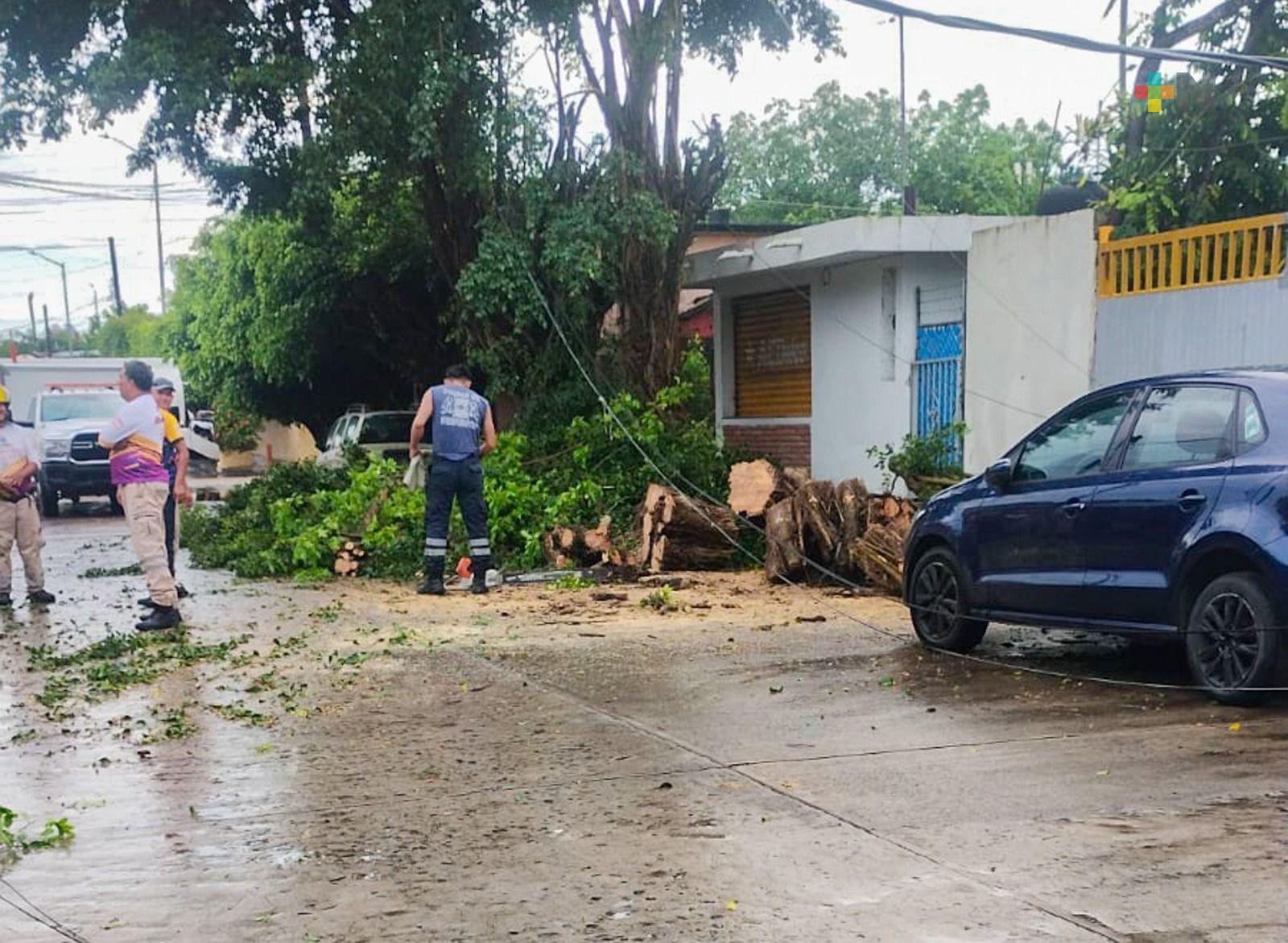 Afectaciones menores en Tuxpan a causa de las lluvias