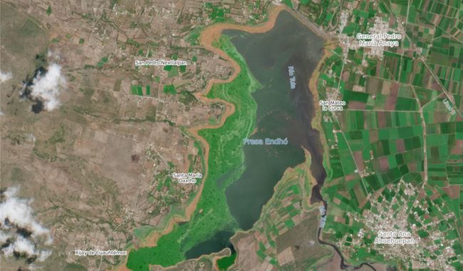 Avance de más del 50% en retiro de lirio acuático en presa Endhó: Semarnat
