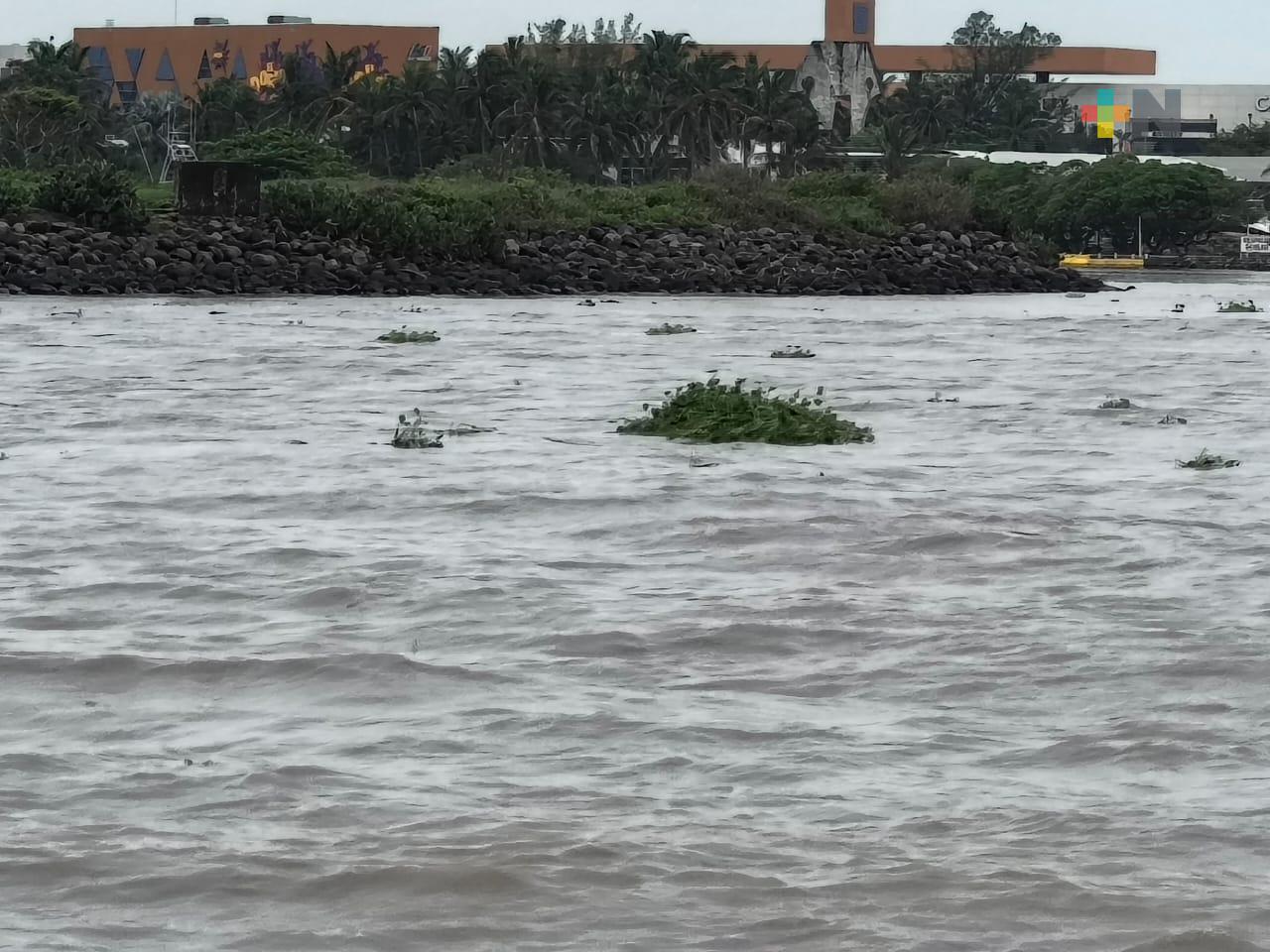 Conagua mantiene vigilancia de afluentes en el estado de Veracruz