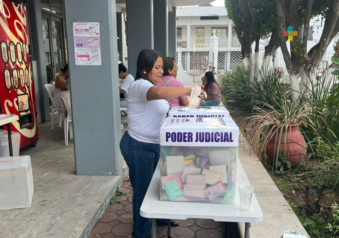 Buena participación en elecciones municipales y judiciales en cuenca del Papaloapan