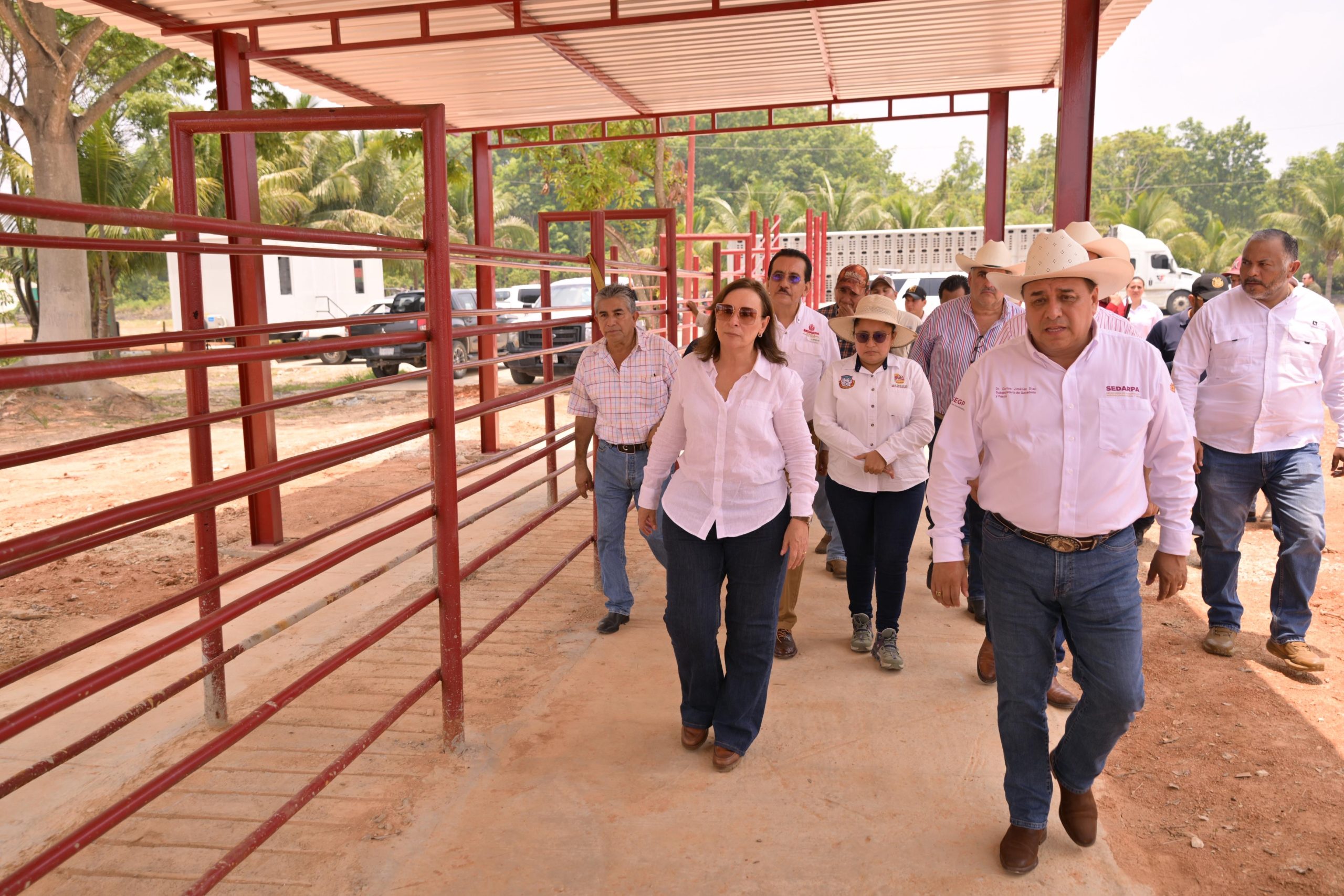 Camionetitas de sanidad animal parte de la estrategia de prevención y combate al gusano barrenador en Veracruz: Rocío Nahle
