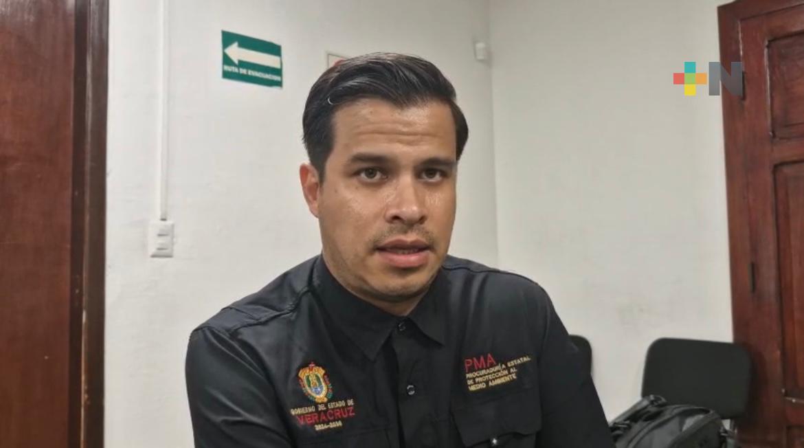 PMA atiende denuncias por presunto daño ambiental en Ixhuatlán