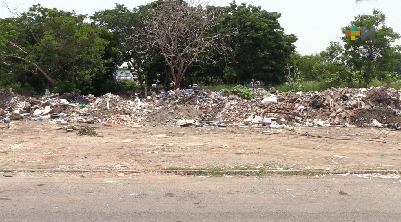 Vecinos denuncian basurero en terreno en venta de Veracruz puerto que crece cada día