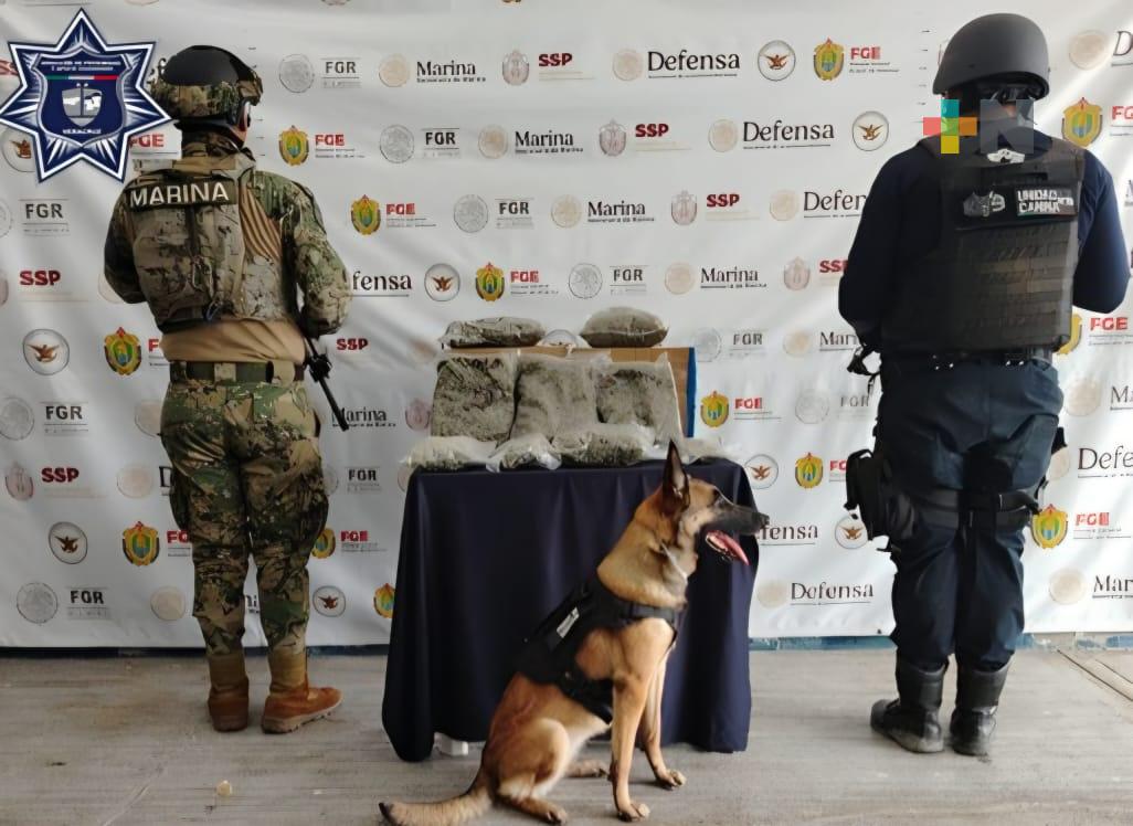Coordinación efectiva en operativos; 13 detenidos y diversos aseguramientos