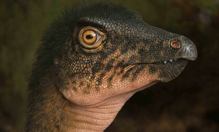 Encuentran hueso de dinosaurio en estacionamiento en Denver