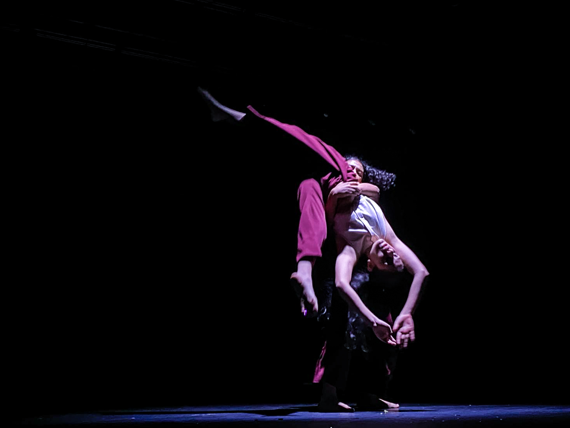 Una semana intensa de cultura y talento internacional en Xalapa