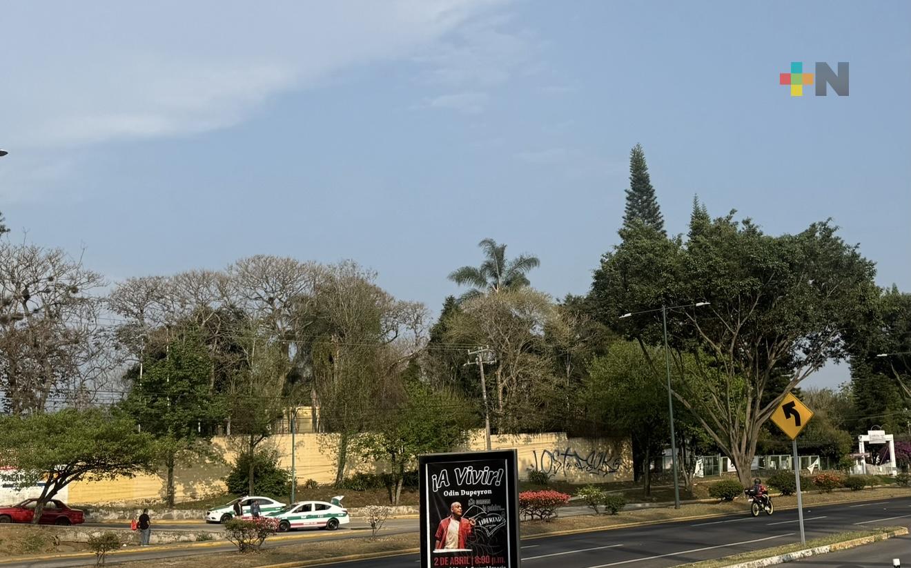 Cielo despejado a medio nublado con probabilidad baja de lluvias