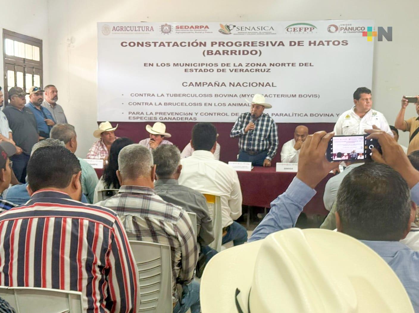 Inicia campaña zoosanitaria en norte de Veracruz: Sedarpa