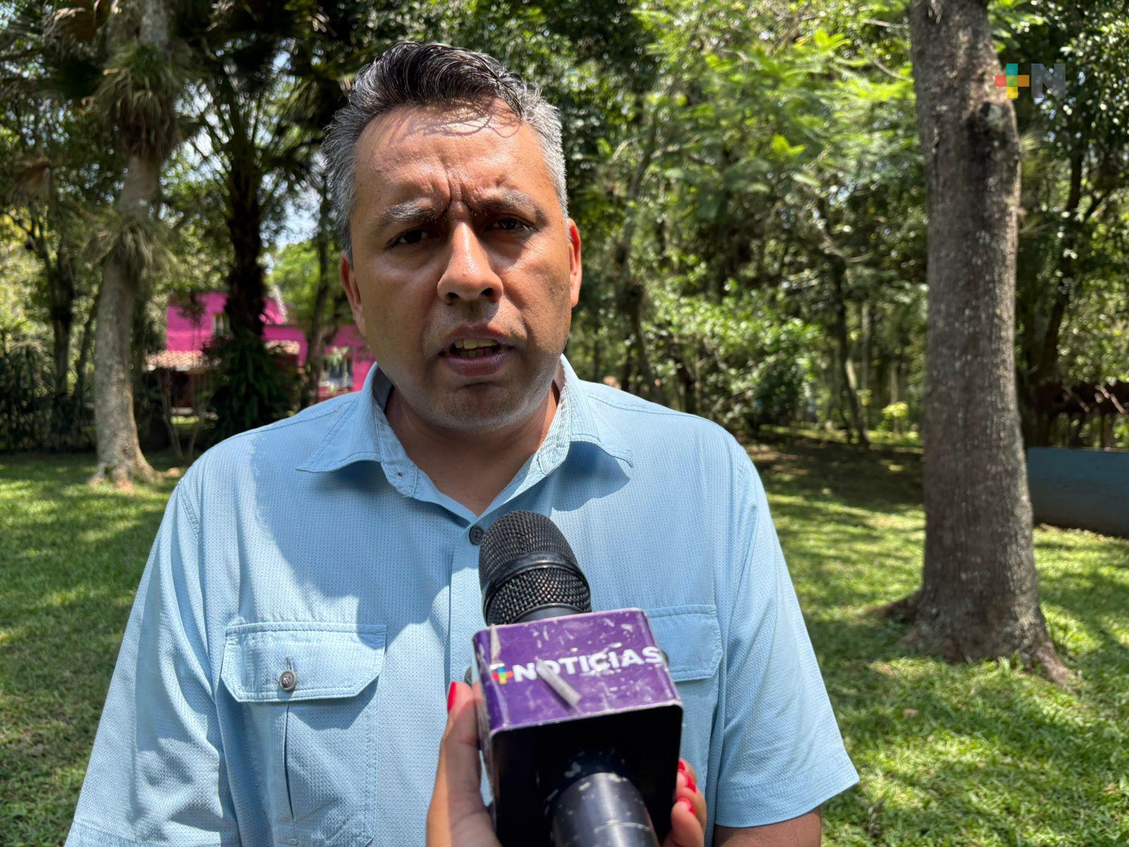 Tala de árboles, quemas y erosión destruyen los suelos