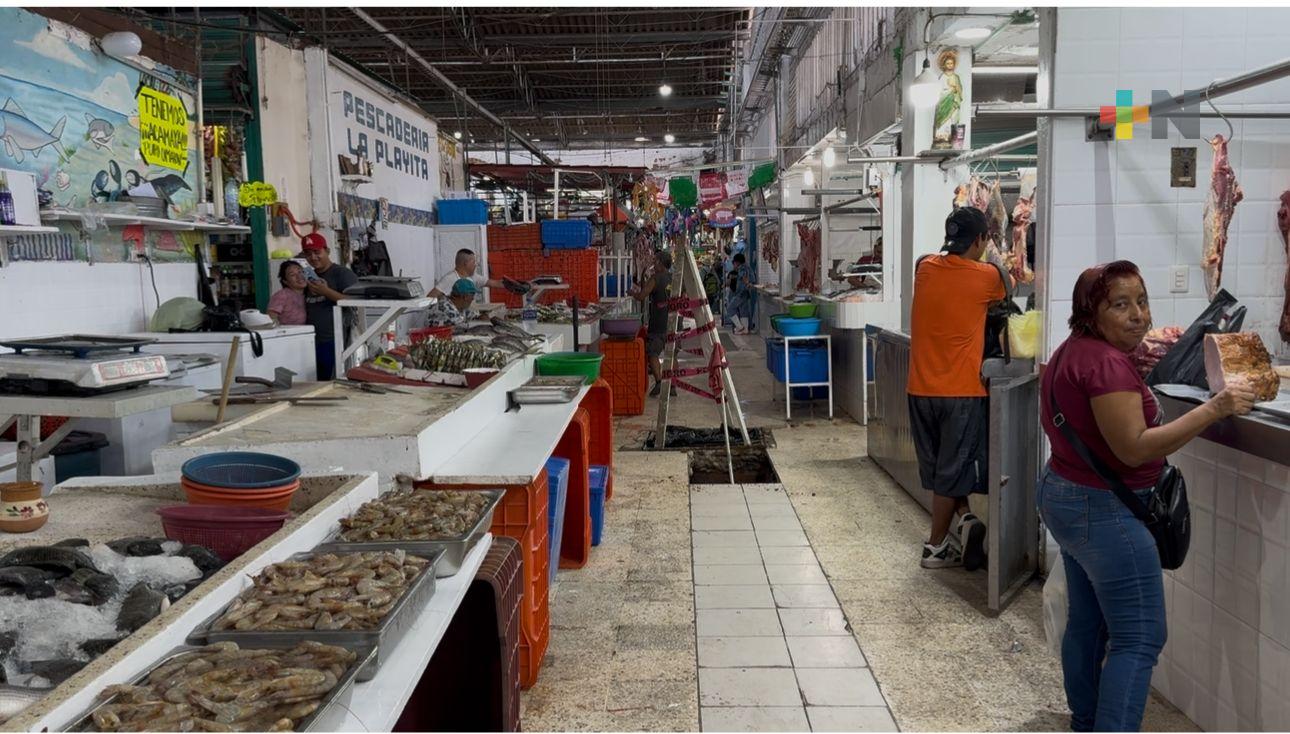 Decena de gatos aparecen sin vida en pasillos de mercado de Coatzacoalcos