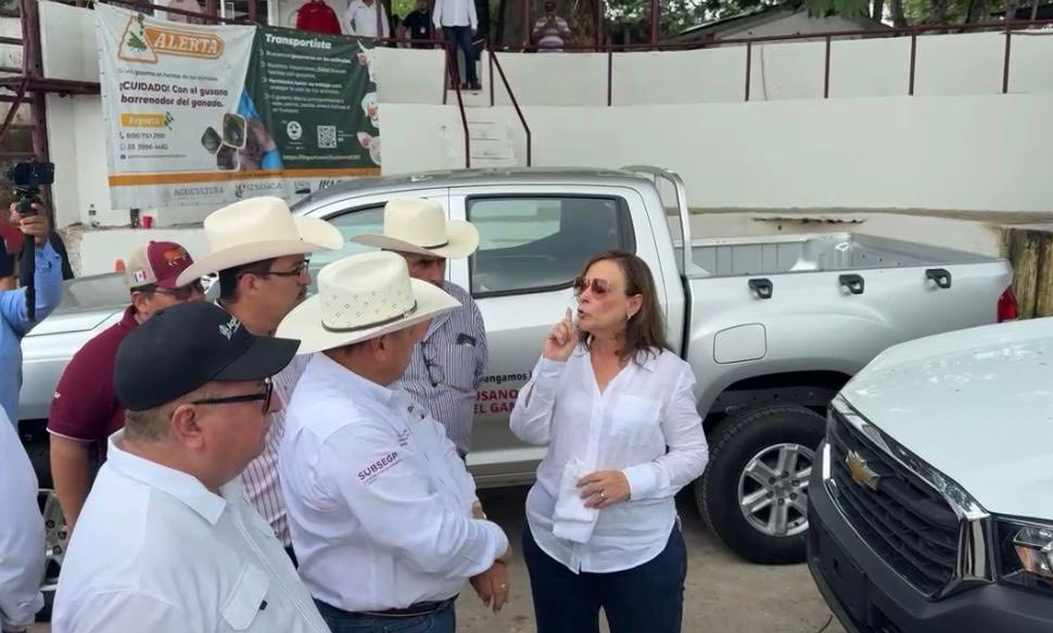 Rocío Nahle supervisa acciones contra gusano barrenador en sur del estado