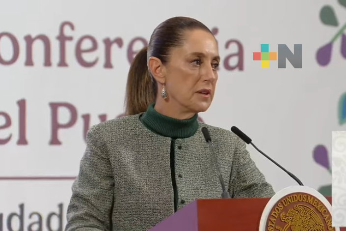 Elecciones menos caras y sin listas de plurinominales, temas de la reforma: Presidenta