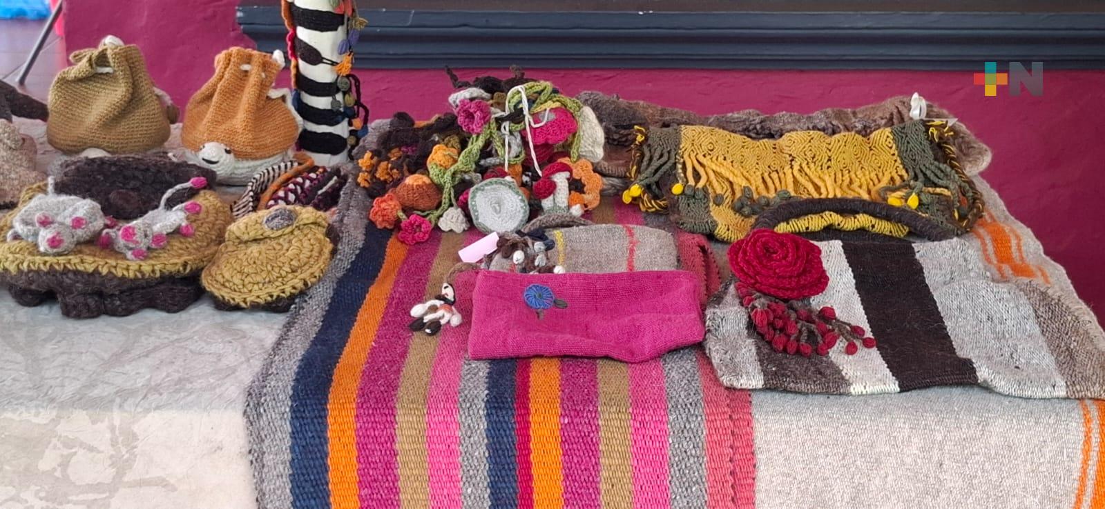 En festival «Arte textil con conciencia ambiental» dieron taller de teñido con plantas