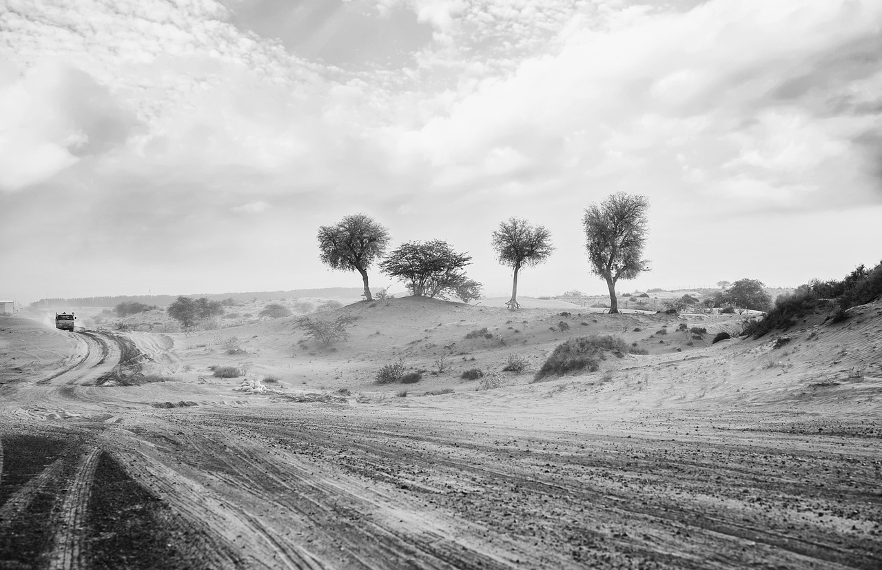Día Internacional de la Lucha contra las Tormentas de Arena y Polvo