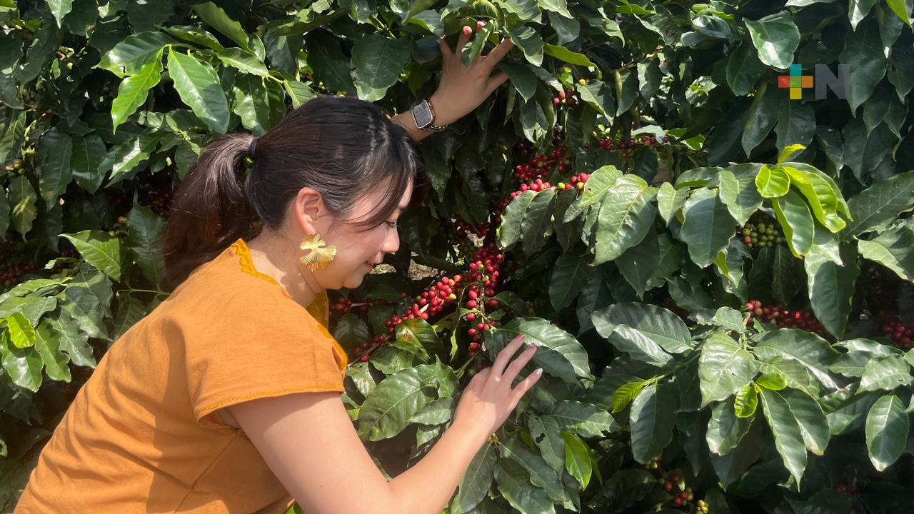 Cultivar café de especialidad se ha vuelto un ritual en términos de sustentabilidad