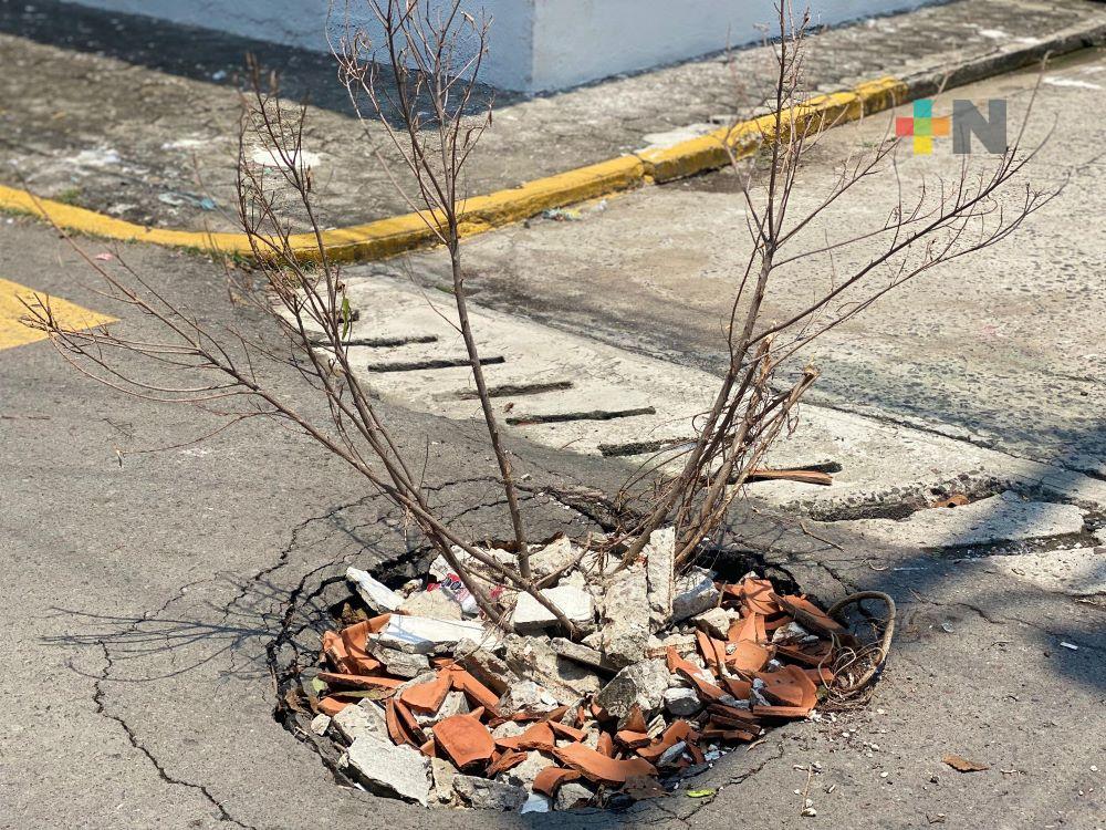 Denuncian deterioro de calle Rafael Hernández Ochoa de Veracruz puerto