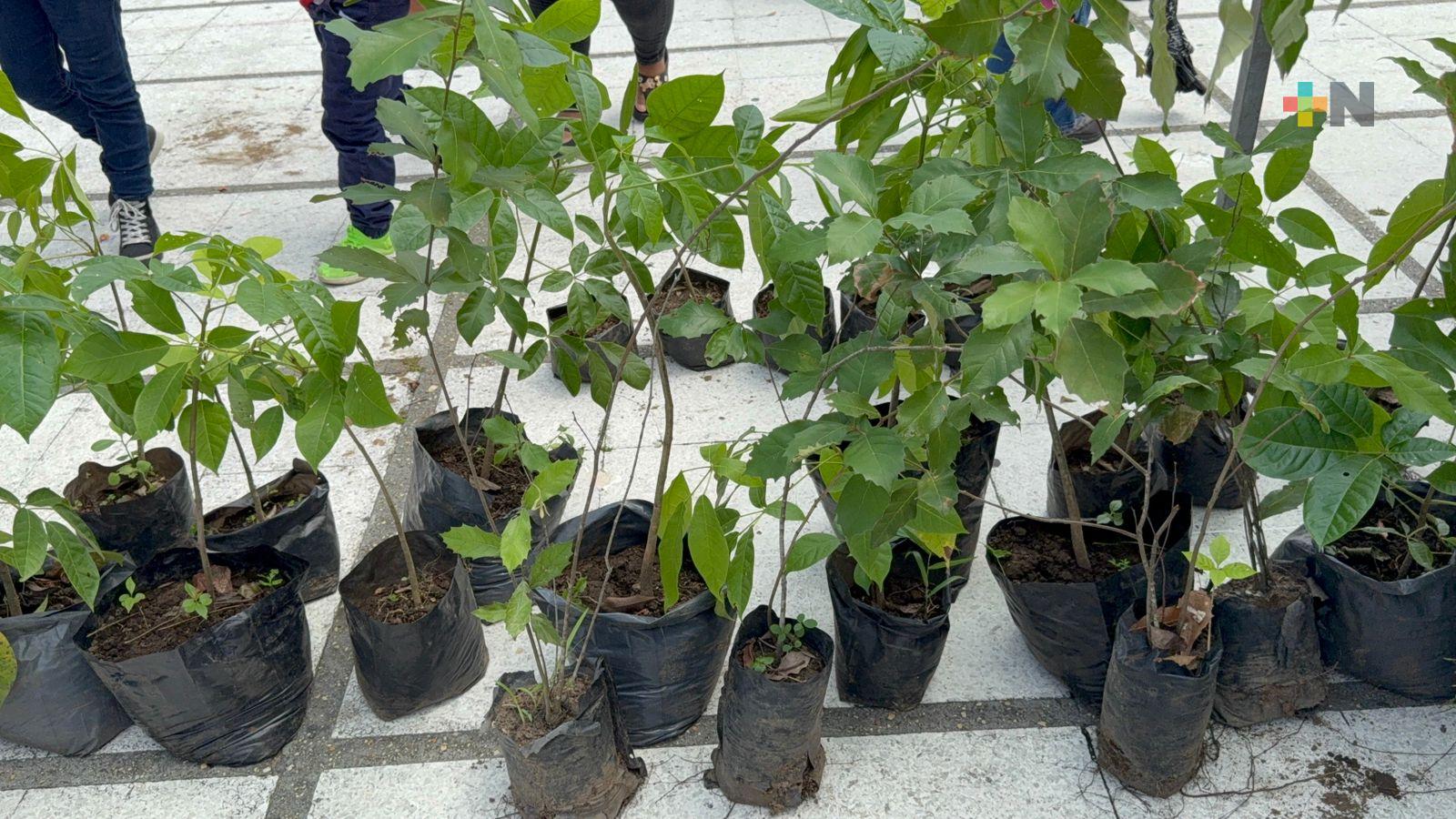 Infantes y madres de familia promueven el cuidado de los árboles en Coatzacoalcos