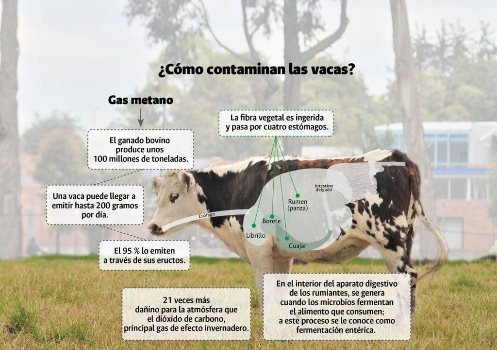 Convocan a presentar proyectos para mitigar emisiones de metano del sector ganadero